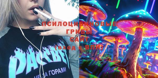apvp Алзамай