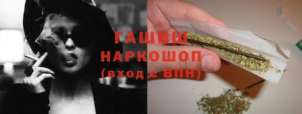 apvp Алзамай