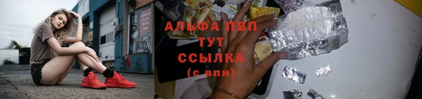 apvp Алзамай