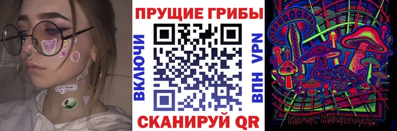 Псилоцибиновые грибы MAGIC MUSHROOMS МЕГА Бокситогорск